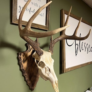 Arrowhead Deer Euro Skull Wall Plaque