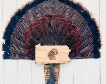 Custom Engraved Pennsylvania Turkey Fan and Beard Mount, Plaque, Display