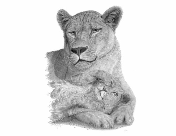 Lion cub Nala walking by Jammet -- Fur Affinity [dot] net