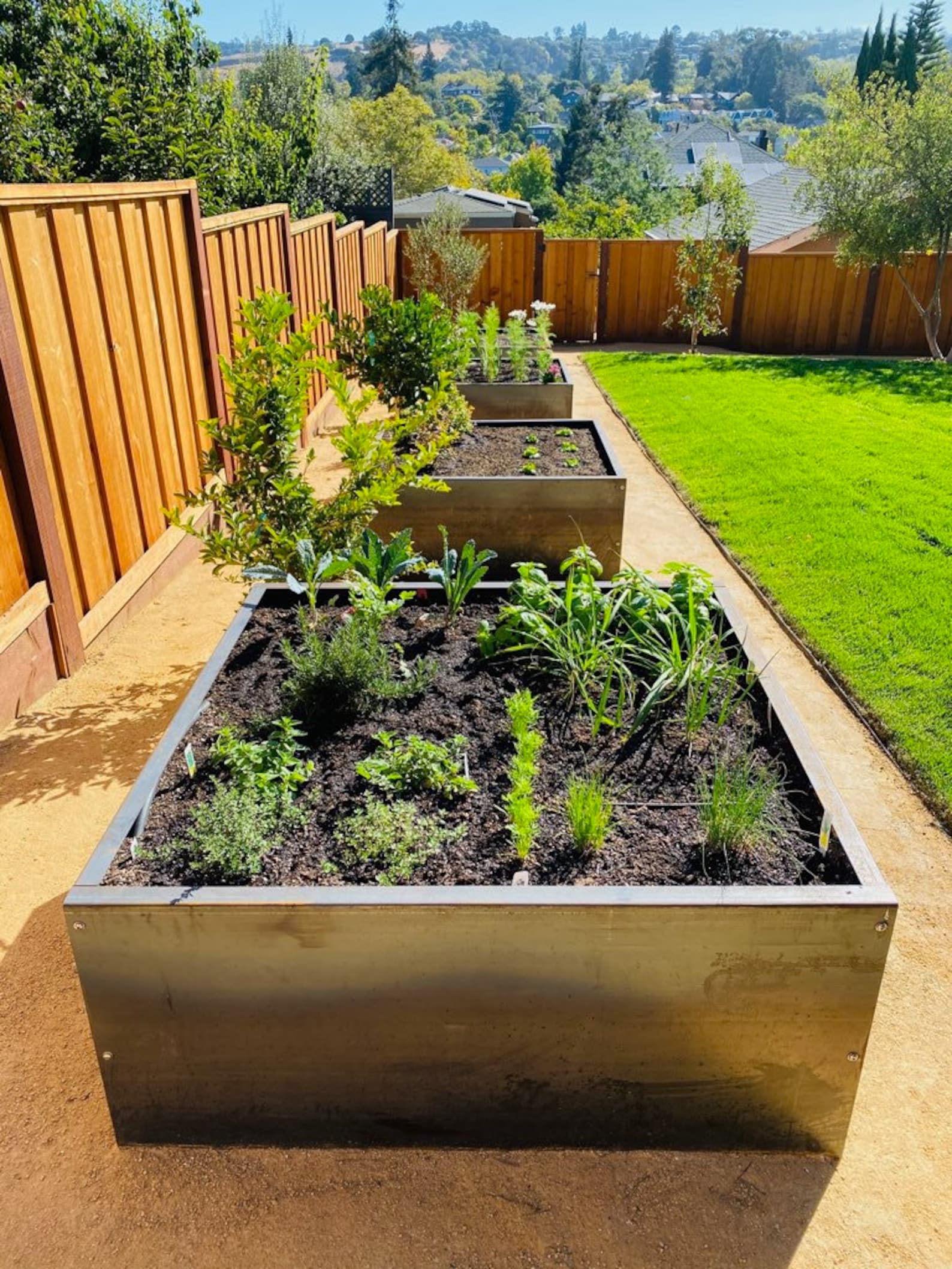 Corten Steel Planter, Raised Bed Corten Steel Planter, Outdoor Planter