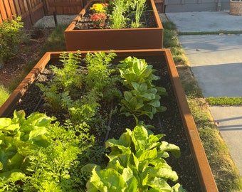 Custom corten steel planter bed