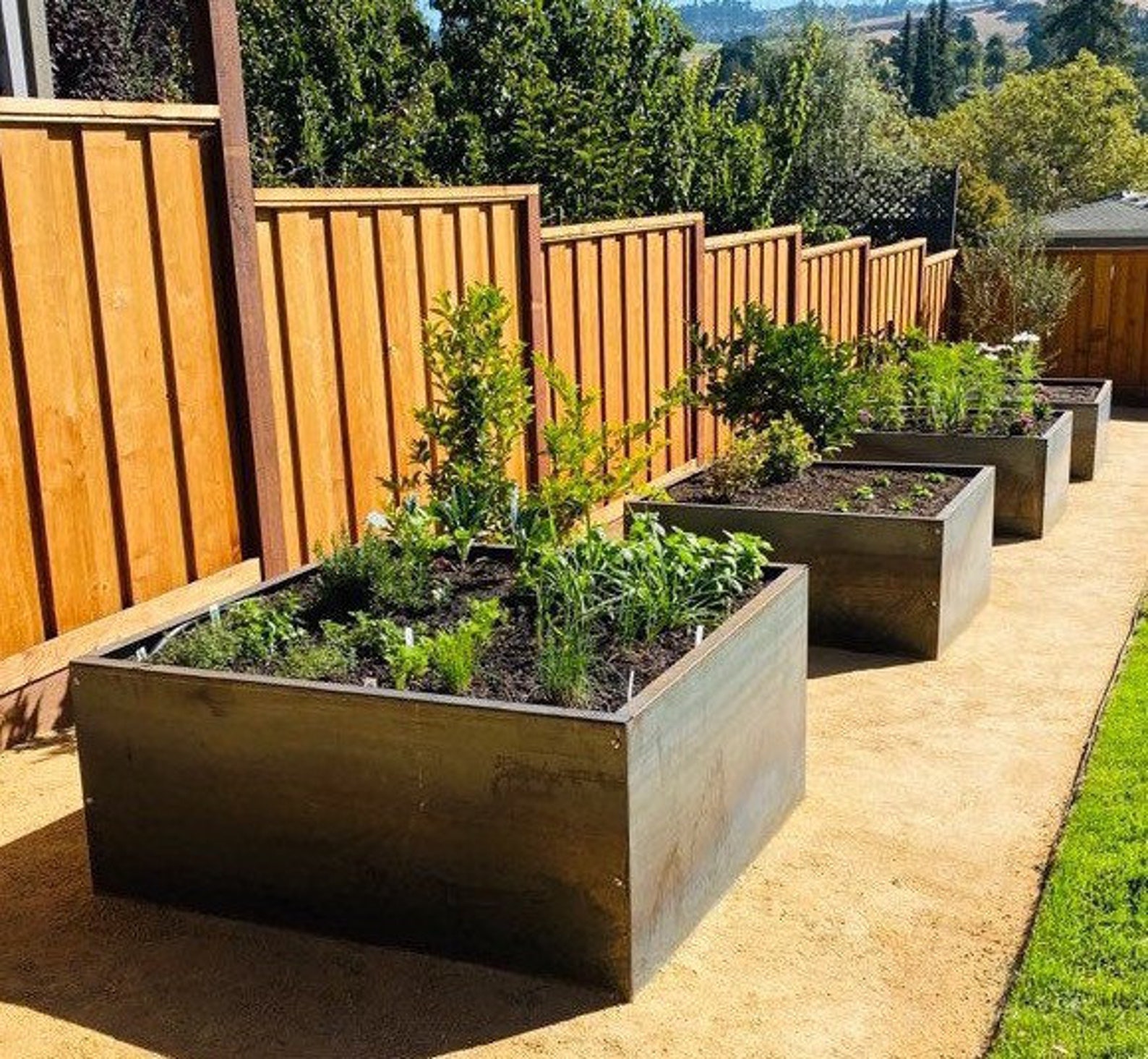 Corten Steel Planter, Raised Bed Corten Steel Planter, Outdoor Planter