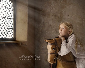 Digital download of old wall and window