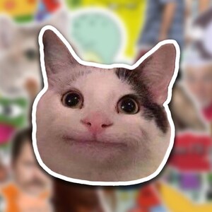 Heavy Breathing Cat Vinyl Sticker Or Magnet Laptop Stickers Etsy