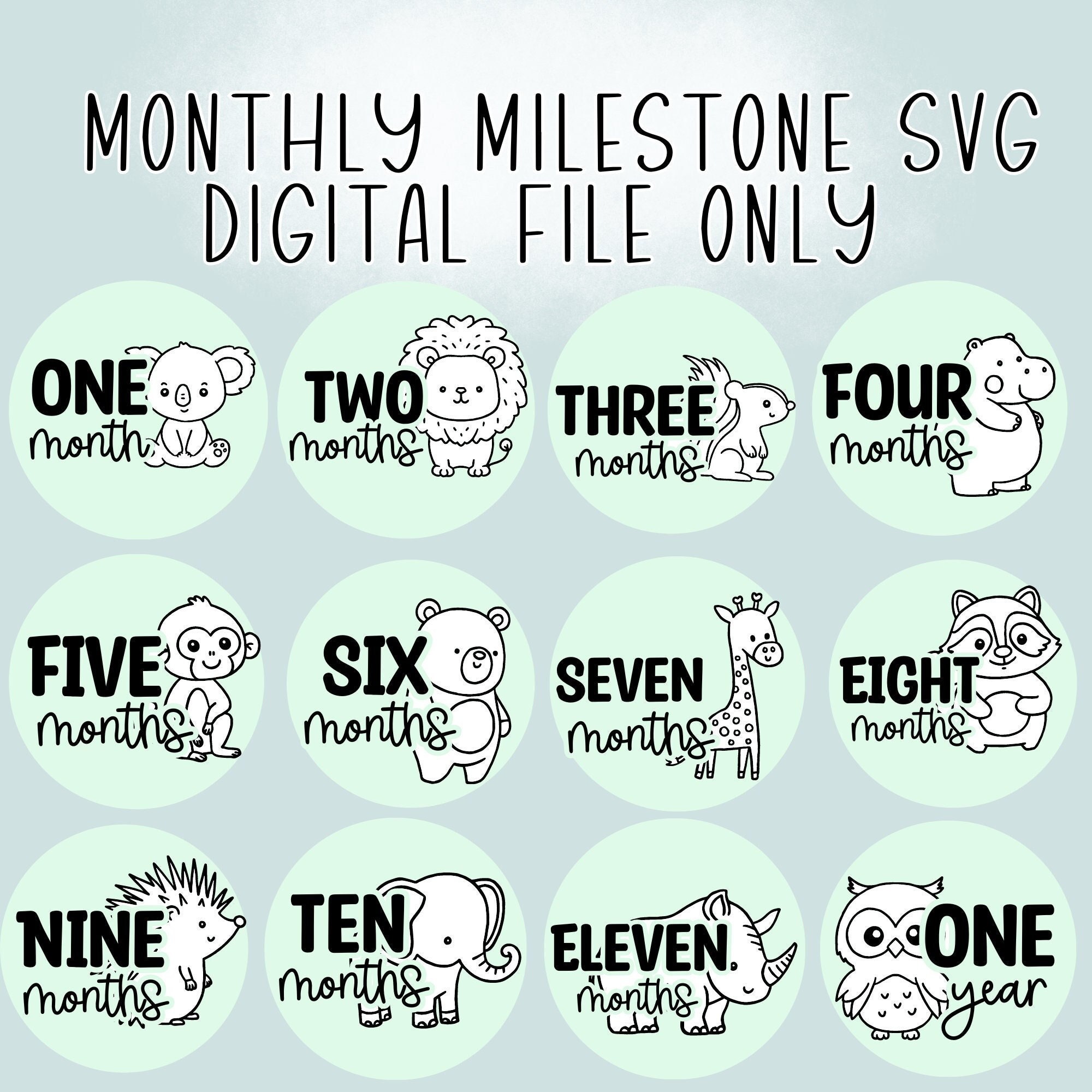 Monthly Milestone Boards SVG Digital File Laser Ready - Etsy