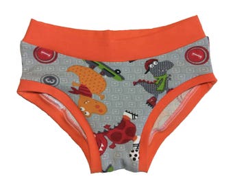 Underwear Zimmermann, dinosaur, 3, 4 years