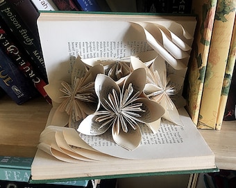 a gift from & flower to DONOVAN ブック 非売品 Donovan. A Gift from a Flower to a Garden. 1968. Paper