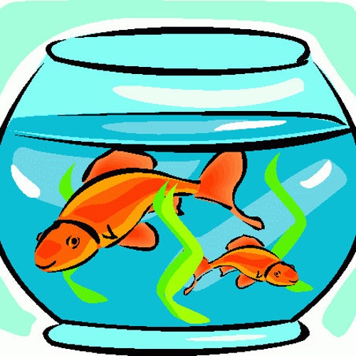 View of VintageAquarium - Etsy
