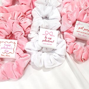 May include: A collection of pink and white velvet scrunchies, some with attached tags. The tags feature text like "Happy Galentine's Day" and "be my galentine!" in pink script. The scrunchies are arranged on a white surface.