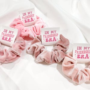 In My Friendship Era, Birthday Party Favor, Eras Tour Party Favors, Era Birthday theme, Swiftie Party, Friendship Scrunchies, Bestie Era