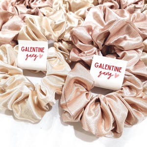 Galentine Gang, Galentines Party Favor, Galentines Day Gifts, Anti Valentines Day, Galentines Day Brunch, Girls Night Out, Galentine Bag image 7