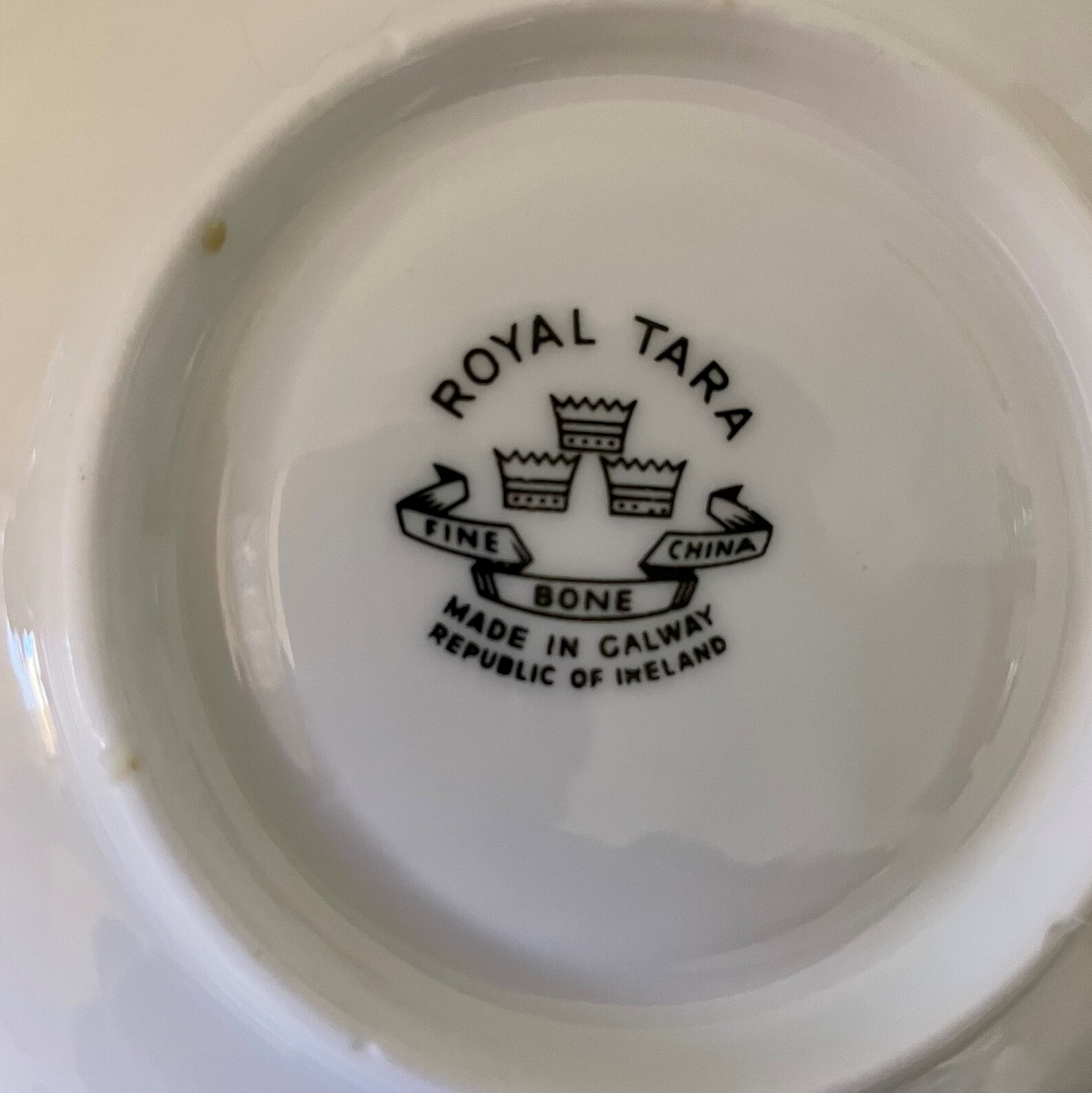 Vintage Royal Tara Tea Cup and Saucer Set Green Fern Made in Etsy