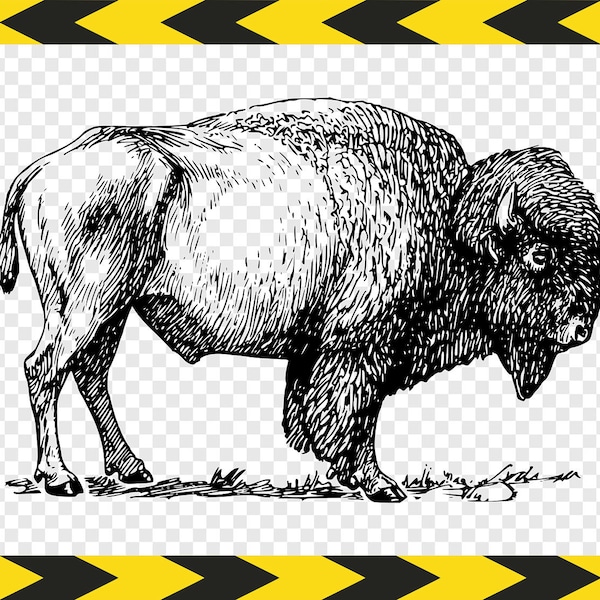 Buffalo Bison print wall art DIY Printable Svg Dxf Pdf Png files