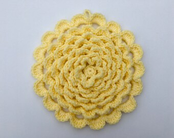 Crocheted Flower Petal Potholder/Hot Pad
