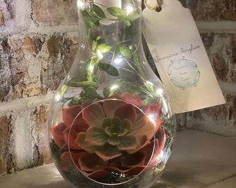 Hanging Lightbulb Terrarium