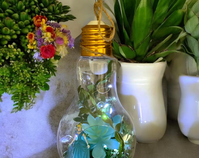 Cinderella Lightbulb Terrarium