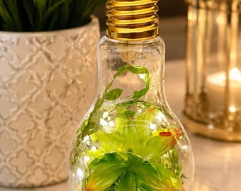 Hanging Lightbulb Terrarium