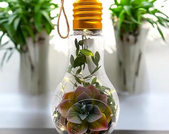 Hanging Lightbulb Terrarium