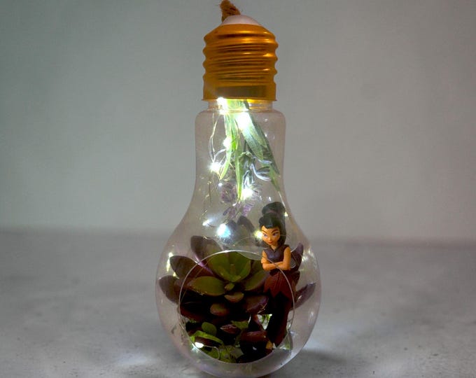 Large Fairy #4 Lightbulb Terrarium