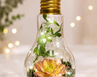 Hanging Lightbulb Terrarium