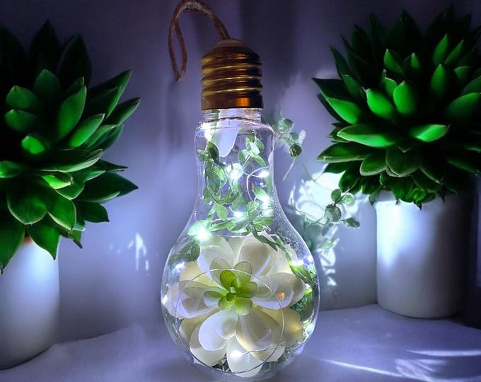 Lightbulb Terrarium