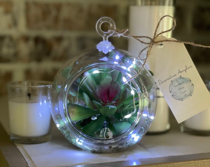 Fairy Lights Terrarium