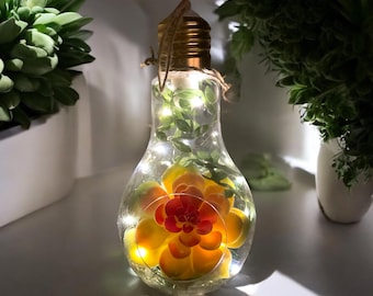 Hanging Lightbulb Terrarium