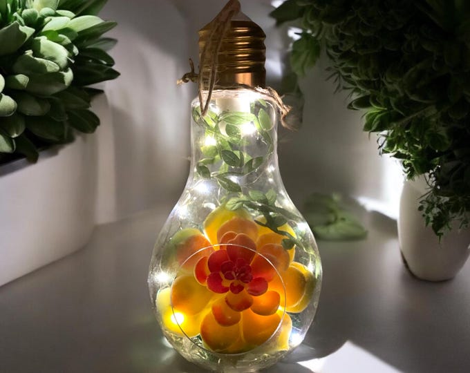 Hanging Lightbulb Terrarium