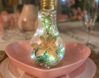 Hanging Lightbulb Terrarium