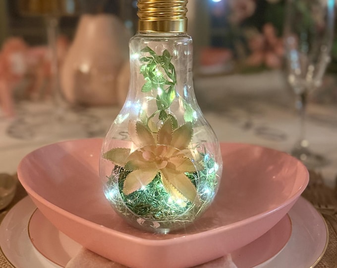Hanging Lightbulb Terrarium