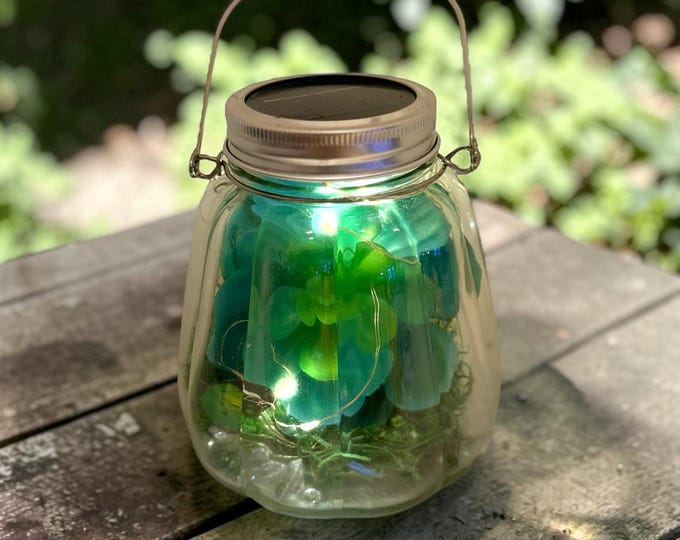 Solar Faux Succulent Glass Terrarium with Fairy Lights