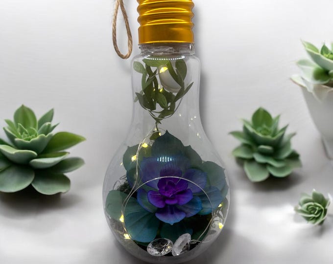 Hanging Lightbulb Terrarium