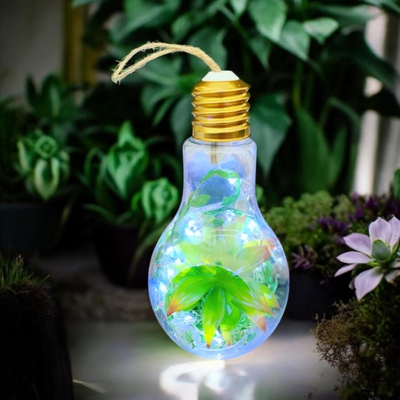 Hanging Lightbulb Terrarium - Etsy