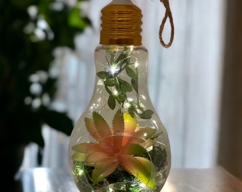 Hanging Lightbulb Terrarium