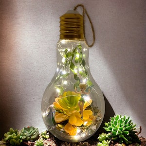 Unique Table Gifts Fairy Lightbulb Terrarium