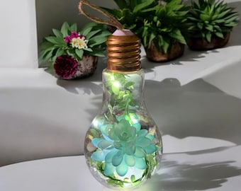 Lightbulb Terrarium