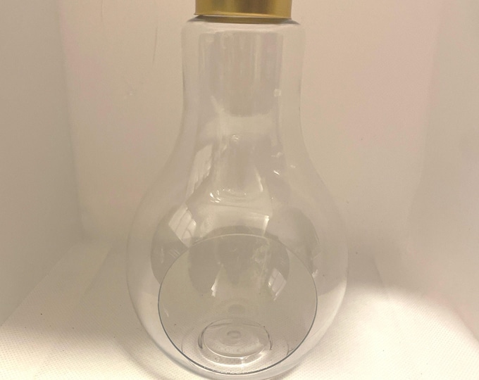 DIY Hanging/Tabletop  Lightbulb Terrarium (Empty)