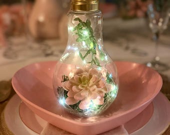 Hanging Lightbulb Terrarium