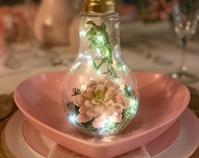 Hanging Lightbulb Terrarium