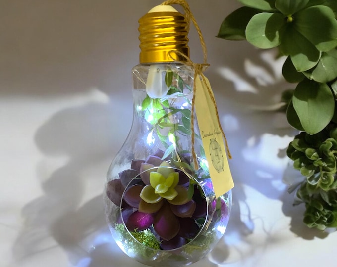 Lightbulb Terrarium