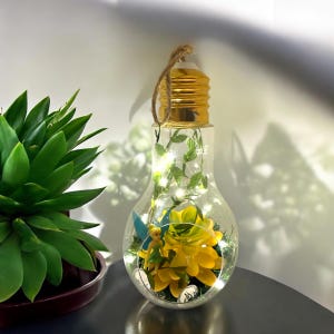 Fairy Hanging Lightbulb Terrarium #4