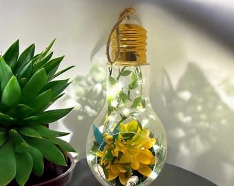 Fairy Hanging Lightbulb Terrarium #4