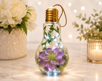 Hanging Lightbulb Terrarium