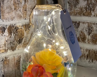 Princess in the Garden 2 Lightbulb Terrarium