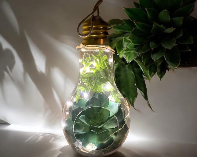Hanging Lightbulb Terrarium