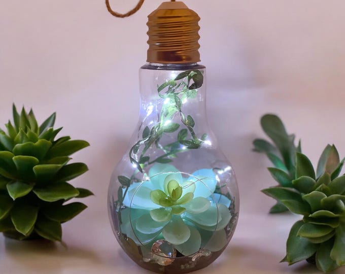 Lightbulb Terrarium