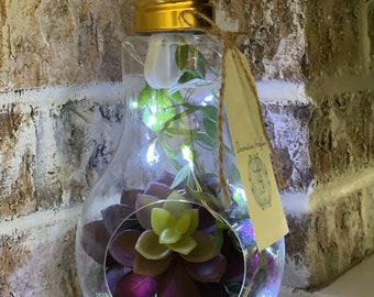 Lightbulb Terrarium