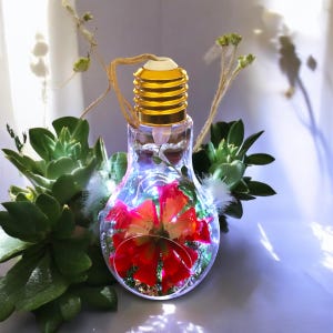 Hanging/Tabletop Lightbulb Faux Succulent Terrarium