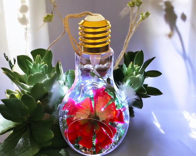 Hanging/Tabletop Lightbulb Faux Succulent Terrarium