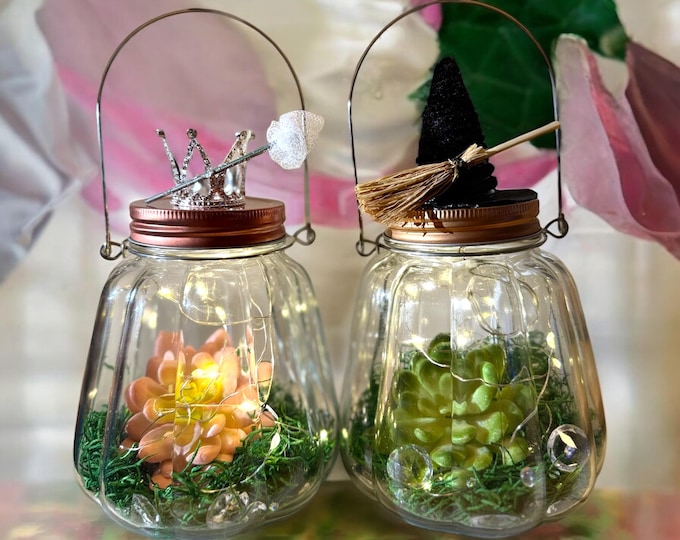Set of Glass Terrarium Wicked Themed